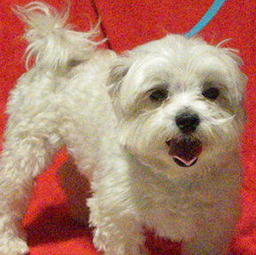 Baxter