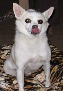 Sadie