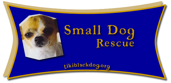 Small Dog Rescue